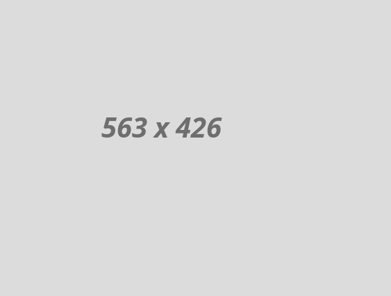 5 5